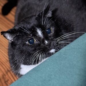 Meet your Posher, Kiki